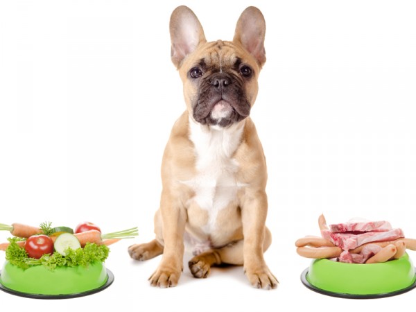Vegetarisch hondenvoer gezond? topic pic